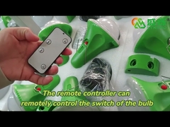 Sistema de iluminação home solar portátil do projetor 25W para acampamento exterior